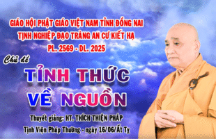 TỈNH THỨC VỀ NGUỒN
