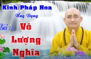 KINH PHÁP HOA ỨNG DỤNG (10 PHẦN)
