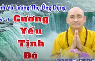 KINH VÔ LƯỢNG THỌ ỨNG DỤNG (26 PHẦN)